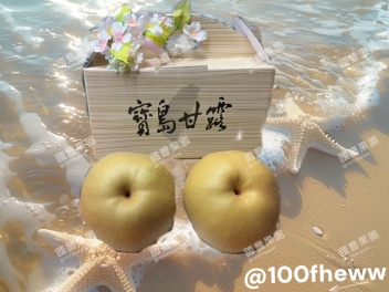 巨無霸2顆入禮盒
